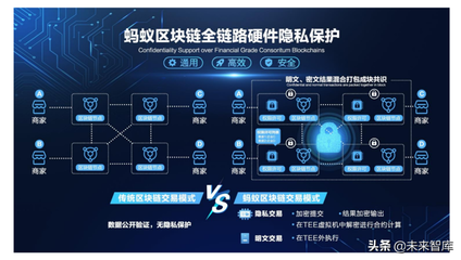 区块链技术前沿 隐私计算深度解析及其在软件服务中的应用